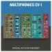 AAS Modeling Collection , Digital Multiphonics Delivery