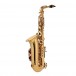 Jupiter JAS700 Alto Saxophone