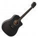 Taylor 250ce DLX 12-String, Black