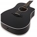 Taylor 250ce DLX 12-String, Black