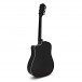 Taylor 250ce DLX 12-String, Black