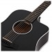 Taylor 250ce DLX 12-String, Black