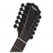 Taylor 250ce DLX 12-String, Black