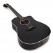 Taylor 250ce DLX 12-String, Black