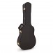 Taylor 250ce DLX 12-String, Black