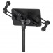 Quiklok LPH007 Universal Tablet Stand, Black - Rest, Back