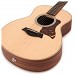 Taylor GS Mini Rosewood