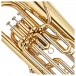 Levante by Stagg EP5455 4 Valve Euphonium, Lacquer