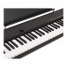 Casio CT-S1 Portable Keyboard, Black - Controls