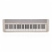 Casio CT-S1 Portable Keyboard, White