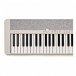 Casio CT-S1 Portable Keyboard, White - Close-up