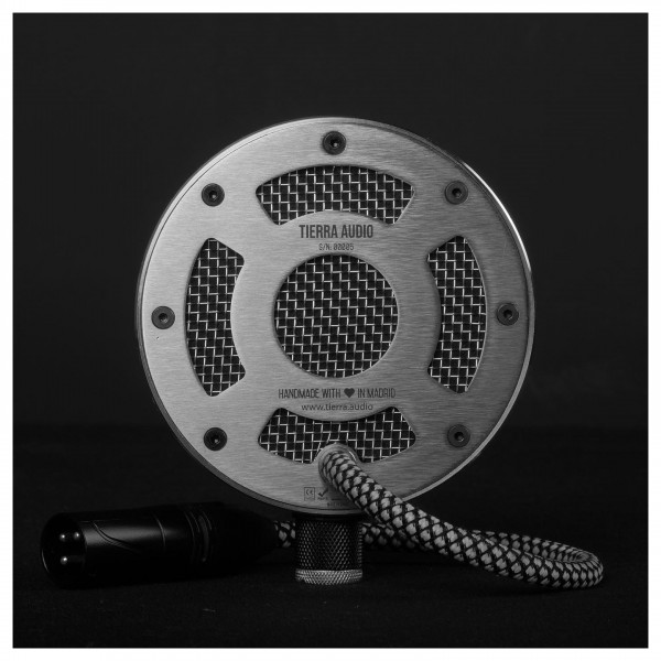 Tierra Audio New Twenties Rear Audio