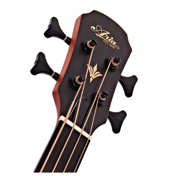 Aria FEB F2/FL Acoustic Bass, Flame Nato Natural