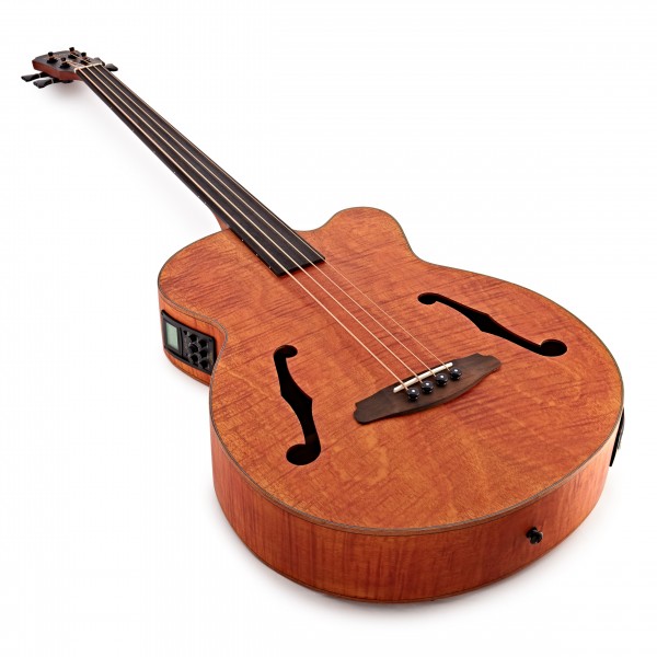 Aria FEB F2/FL Acoustic Bass, Flame Nato Natural
