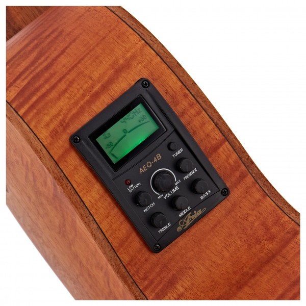 Aria FEB F2/FL Acoustic Bass, Flame Nato Natural