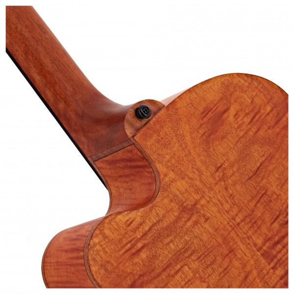 Aria FEB F2/FL Acoustic Bass, Flame Nato Natural