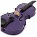 Stentor Harlequin Viola Outfit, Deep Purple, 16 Inch