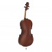 Stentor Student 2 Cello, 3/4