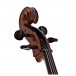 Stentor Student 2 Cello, 3/4