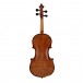 Hidersine Espressione Guarneri Violin Outfit