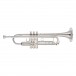 Yamaha YTR4435SII Bb/C Trumpet, Silver