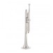 Yamaha YTR4435SII Bb/C Trumpet, Silver
