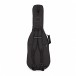 Godin Passion RG-3 MN, Indigo Burst Bag Back