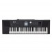 Roland BK-5 Backing Keyboard