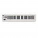 Roland A-49 MIDI Controller Keyboard, Wit