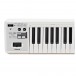Roland A-49 MIDI Controller Keyboard, White