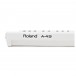 Roland A-49 MIDI Controller Keyboard, White