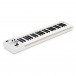Roland A-49 MIDI Controller Keyboard, White