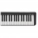 Roland A-49 MIDI Controller Keyboard, Black
