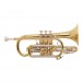 Bach Stradivarius Cornet, 184ML, Lacquer