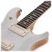 PRS Ltd Edition Wood Library, Platinum Patter #0324250