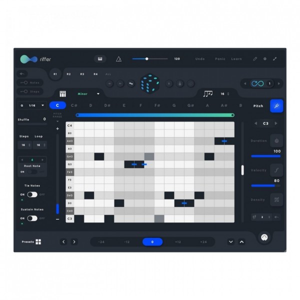 Audiomodern Riffer - GUI