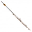 Yamaha YFL312 Student Model Flute, Gold Lip Plate