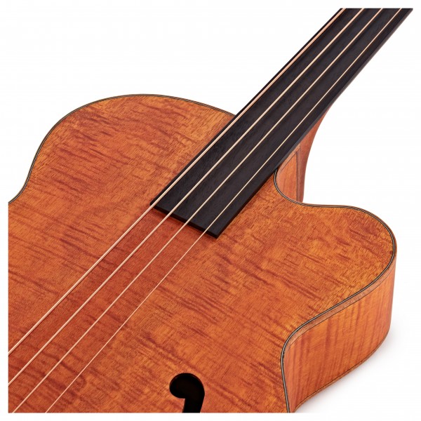 Aria FEB F2/FL Acoustic Bass, Flame Nato Natural