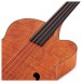 Aria FEB F2/FL Acoustic Bass, Flame Nato Natural