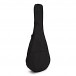 Aria FEB F2/FL Acoustic Bass, Flame Nato Natural