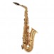 Yamaha YAS62 Professional Alto Saxophone, Gold
