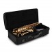 Yamaha YAS62 Professional Alto Saxophone, Gold