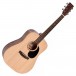 Ditson D-10 Dreadnought Acoustic, Natural