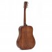 Ditson D-10 Dreadnought Acoustic, Natural back