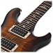 PRS Custom 24, Black Gold Burst #0333153