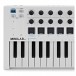 Arturia MiniLab Universal MKII MIDI Controller