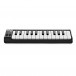 Akai Professional LPK25 Laptop Performance Keyboard