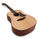 Ibanez AAD100 Advanced, Open Pore Natural