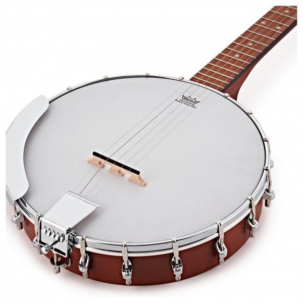Epiphone MB-100 Banjo