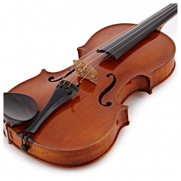 Wessex V Series Violin Outfit, Gold Setup